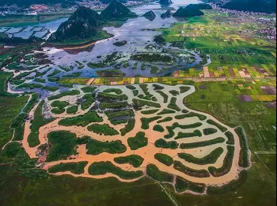 普者黑20000畝荷花花開成海!好想私奔去這個詩意田園,小住三兩天!
