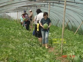 永香元生態農家院 永香元生態農家院