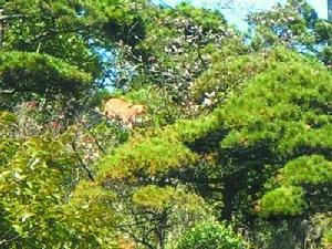 鮑曙光[宣城市涇縣水務局名職工]