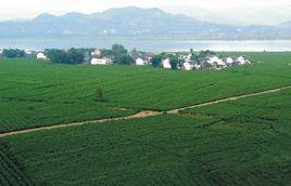 文峰鄉[湖北竹山縣文峰鄉]