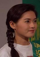 大時代1[1992年韋家輝編導電視劇]