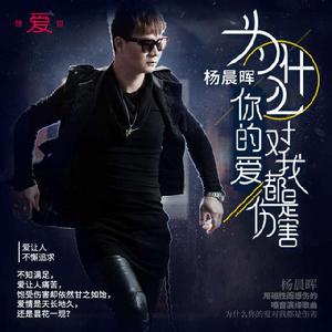 為什麼你的愛對我都是傷害 為什麼你的愛對我都是傷害