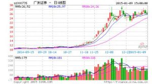 長期股票期權 長期股票期權