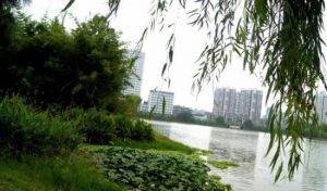 菱角湖公園 菱角湖公園