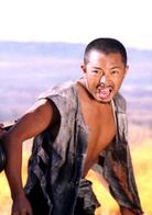 紫日[2001年馮小寧導演的電影]