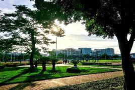 深圳市光明新區高級中學 深圳市光明新區高級中學