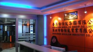 深圳市伯仕龍實業有限公司