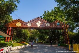 廣州白雲山 廣州白雲山