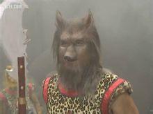 鐵背蒼狼 鐵背蒼狼