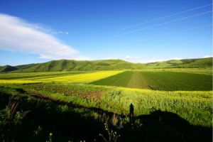 呼倫貝爾自治省 呼倫貝爾自治省