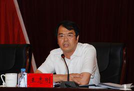 王志剛[中共穆稜市委副書記，穆稜市市長]