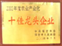 保定市十佳龍頭企業