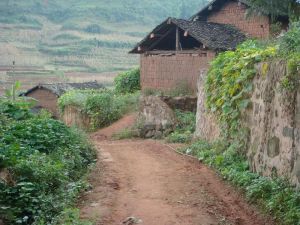 官墳箐村 官墳箐村