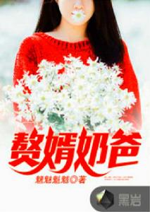 贅婿奶爸 贅婿奶爸