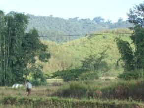 新城杏丁自然村 新城杏丁自然村