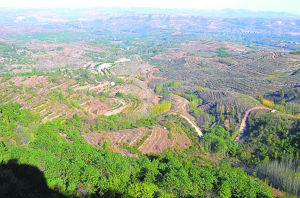 紀王[中國古代王爵]