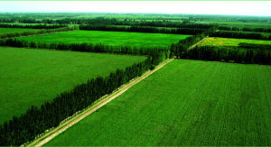 土地利用生態效益 土地利用生態效益