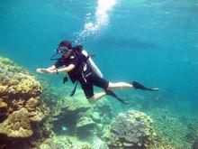 深潛[央視中外合拍科學紀錄片]