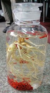 人參枸杞酒 人參枸杞酒