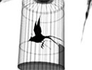 《籠中鳥》[現代詩]