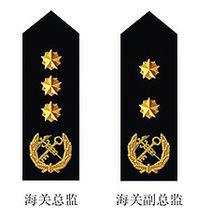 海關總監、海關副總監肩章