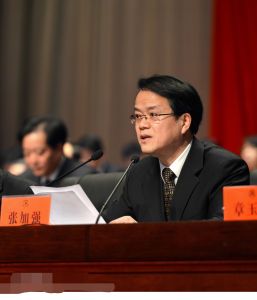 張加強[國家信息中心黨委辦公室主任]