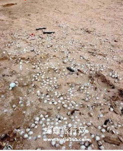 海積平原 海積平原