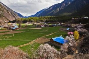 羅馬村[廣西壯族自治區南寧市邕寧區那樓鎮下轄村]