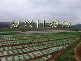 復興村[雲南省昭通巧家縣白鶴灘鎮復興村]