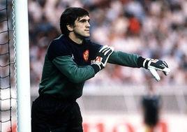 阿拉基斯泰因 阿拉基斯泰因