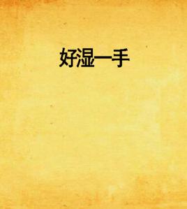 好濕一手 好濕一手