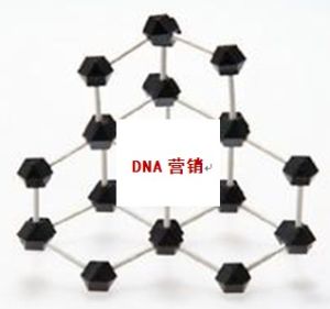DNA行銷