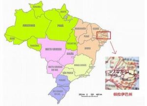 帕拉伊巴州 帕拉伊巴州