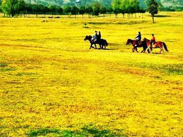 小農意識 小農意識