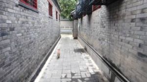 真如鏡胡同 真如鏡胡同