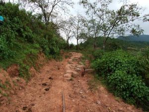 南石坪村 南石坪村