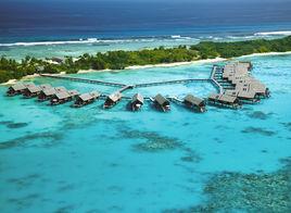 香格里拉島 香格里拉島