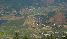 西洋村[福建省南平市延平區塔前鎮西洋村]