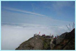 金子山風景區 金子山風景區