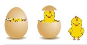 小雞和雞蛋 小雞和雞蛋