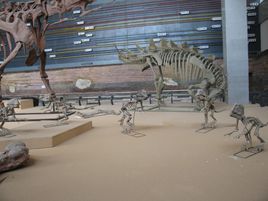 朝陽鳥化石國家地質公園 朝陽鳥化石國家地質公園