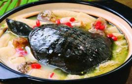 甲魚補腎湯 甲魚補腎湯