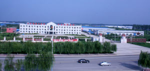 山東四君子集團有限公司