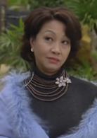 大四喜[2008年陳百祥主演電影]