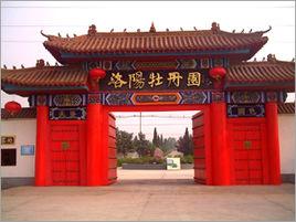 洛陽牡丹園 洛陽牡丹園