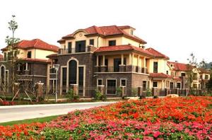 金凱盛譽城 金凱盛譽城