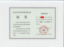 全國高校計算機考試證書