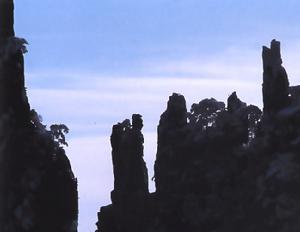 仙人背包 仙人背包