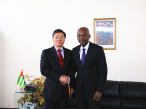 巢衛東大使拜會多哥外長迪塞