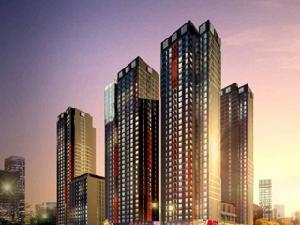 四川紅星國際 四川紅星國際